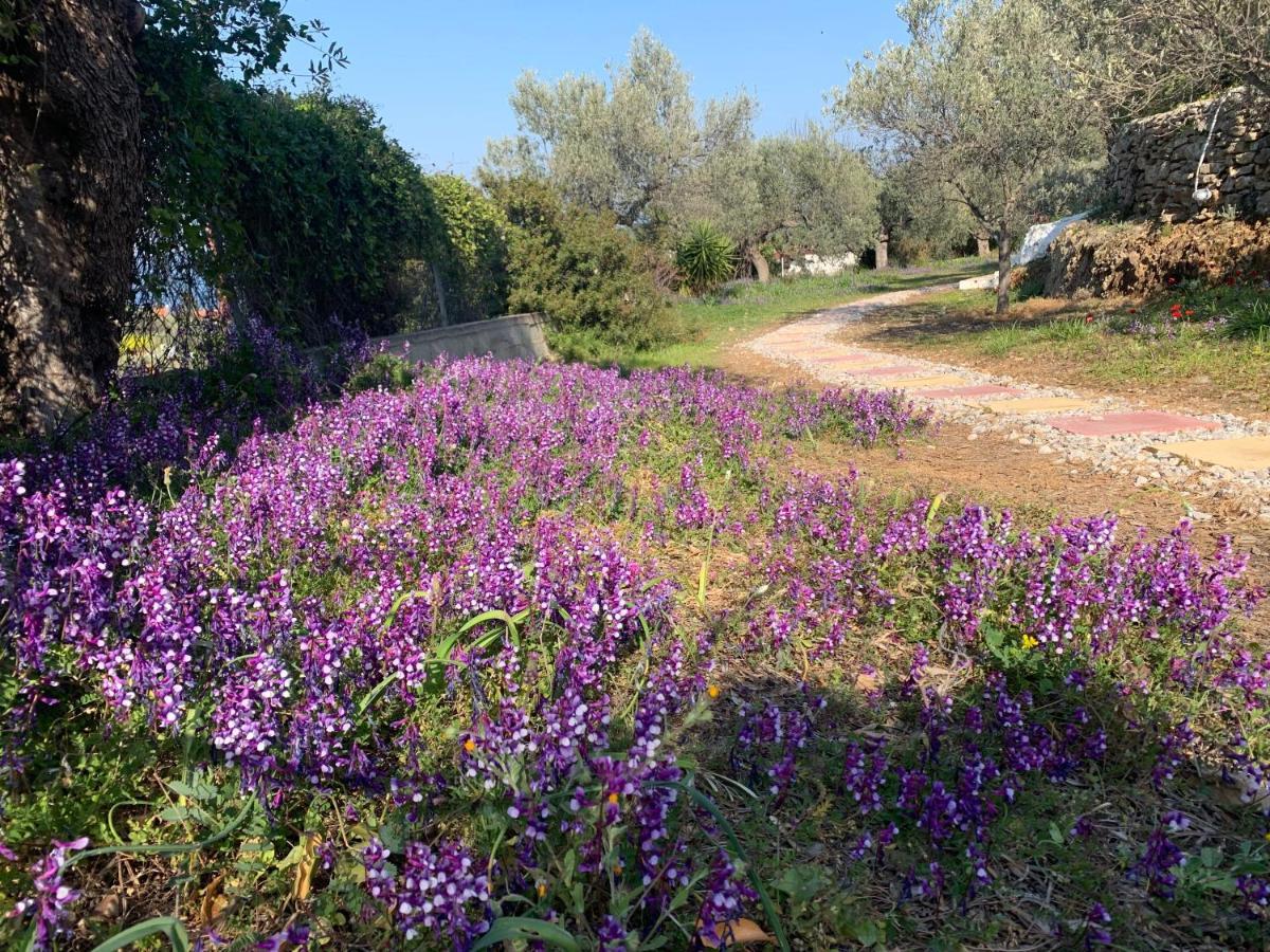 Villa Olive Hill Private House Poros Town Exterior foto